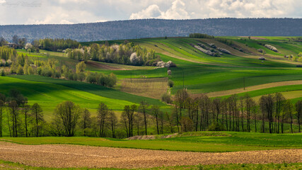 Pofalowane pola © Krzysztof Rostkowski