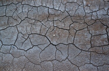 Dry cracked green with traces of white salt on the shore of a natural reservoir, Ukraine.