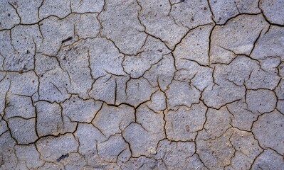 Dry cracked green with traces of white salt on the shore of a natural reservoir, Ukraine.