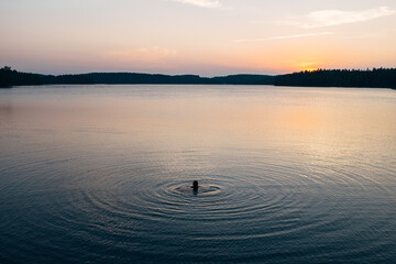 Person swimming in a lake at sunset