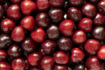 Sweet cherry with water drops, as background.