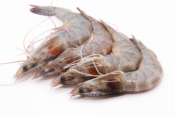 Isolated Fresh shrimp sea food 