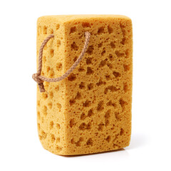 Sponge over white background