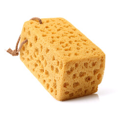 Sponge over white background