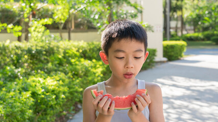 One Cute Asian boy is eating a slice of juicy watermelon in the park during summer with joy.An...
