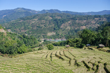 Scenic landscape panorama of the Siyom or Siang river valley, with rice terraces in foreground and evidence of slash and burn agriculture, Arunachal Pradesh, India