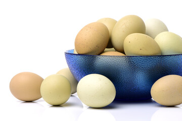 eggs on a white background 