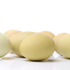 eggs on a white background 