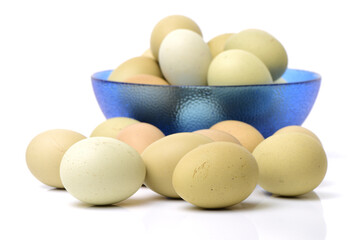 eggs on a white background 