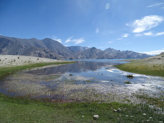 Pangong Tso Lake  , Ladakh