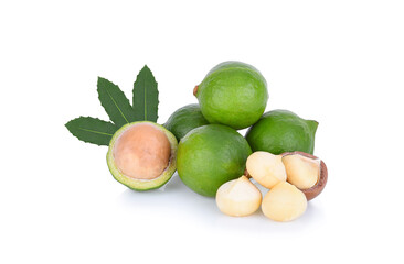 macadamia nut and leaf isolated on white background