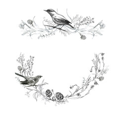 Illustration, pencil vignette, set. Drawing of birds, leaves and branches of plants. Freehand drawing on a white background.
