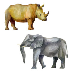 Watercolor illustration set. African tropical animals hand-drawn in watercolor. Rhino, elephant.