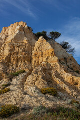 Red erosion cliffs overgrown with vegetation on the Matalascanas beach - one of the most beautiful beaches in Spain, Huelva.