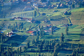 Cemoro lawang is a very small hamlet north-east of Mount Bromo (East Java) at Bromo Tengger Semeru National Park.