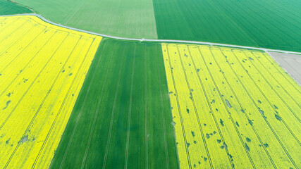 Aerial view of rape fields in Lower Silesia in Poland