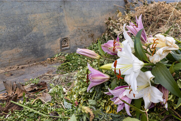 Container for vegetable waste with lilies in a cemetery 