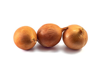 Old onions on a white background