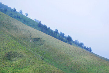 Nature scene of Landscape meadow on valley with slope mountain of blok savana of bromo tengger...