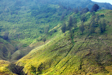 Nature scene of Landscape meadow on valley with slope mountain of blok savana of bromo tengger...