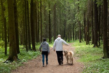 Walk with your dog in the woods . Fitness classes in the forest.