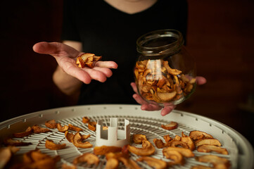 Female hands are stacking dried apples into the glass jar. Woman's hands close ups. The best way to keep dried apples crisp. Making dehydrated fruit and vegetables in a dehydrator. .