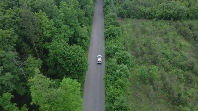 aerial view tracking after car moving by speedway green forest by both side