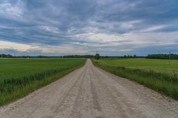 The rural path to the horizon.