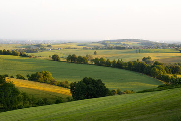 landscape with green field and sky - far view in summer warmth