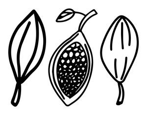 national chocolate day, doodle illustration, cocoa fruit, minimalistic drawings, cartoon style, cocoa icons, black doodle on white background, isolated images, vector illustrations