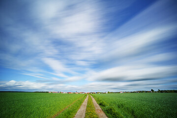Fototapeta na wymiar Green summer field with road and cloudy sky