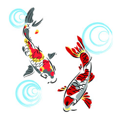 Koi fishes in the pool
