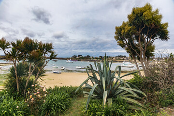 Ile de Batz (Roscoff), Finistere, Brittany, France