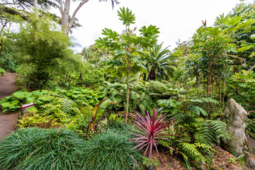 Fototapeta premium Botanical Garden of Ile de Batz (Roscoff), Finistere, Brittany, France