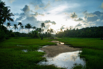 Beautiful evening photography - Landscape, Beautiful Scenic Landscape India Kerala, Nature Beautiful Evening Sun Set Sky, Paddy fields