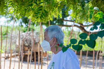 Mulher idosa caminhando debaixo de &aacute;rvore 