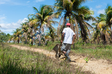 Homem no campo trabalhando com plantio