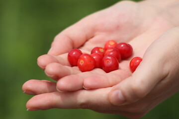 handful of berries
