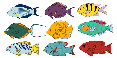 Fototapeta premium Set of tropical coral cartoon fishes. Vector illustration.