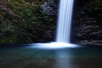 Fototapeta premium 滝