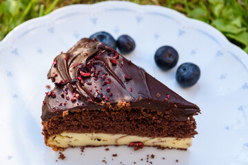 Chocolate cheese cake on white plate.