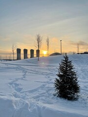 Sunrise and fir in the park / Ель и рассвет в парке (ByKate) 