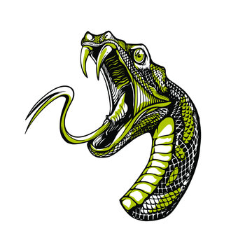 iconic snake head hand drawn illustration