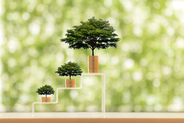 Stacking three gold coin and tree with growing on staircase steps on the wood in the public park,...