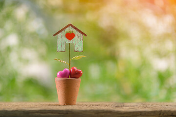 Plant pot for keep a heart with growing to a tree produce house put on the wood in sunlight, Saving money or loan for business investment real estate of owner the new home in the future concept.