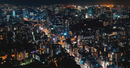 Fototapeta na wymiar Tokyo cityscape aerial view