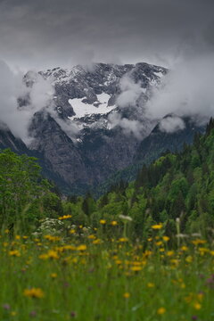 Alp View above Garmisch Patenkirchen