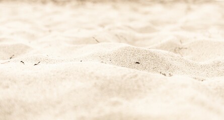 Fototapeta na wymiar Sand.