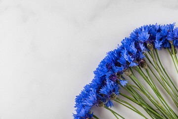 Blue cornflowers on white marble background. top view with copy space. flat lay