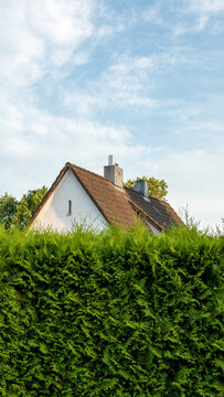 Spitzdachhaus hinter Hecke